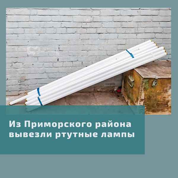 15346ru7yytretdyfugi.jpg