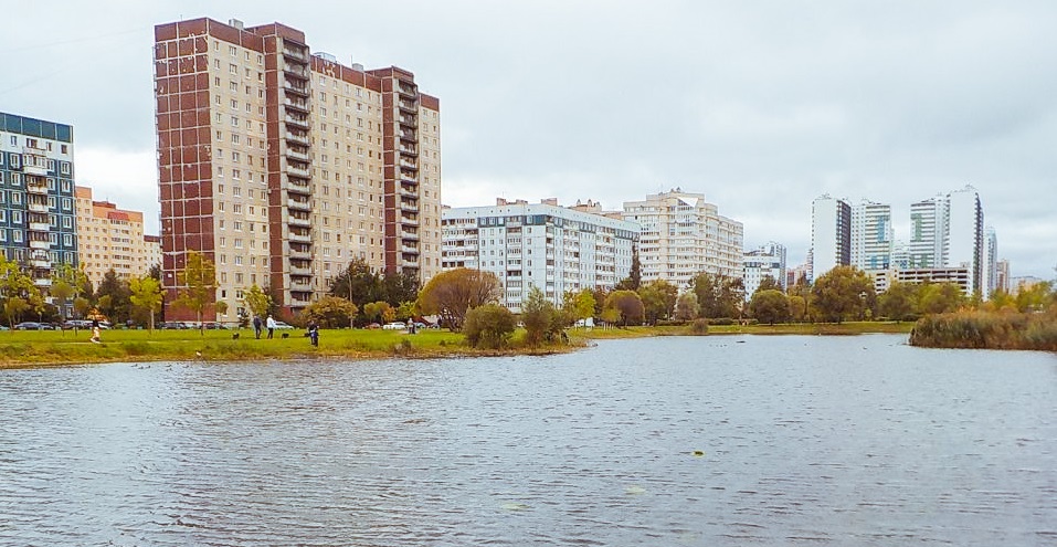 2-20201008150228.jpg