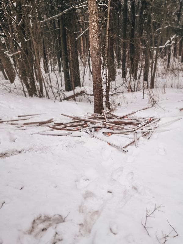 Untitled3-f2ew23erf2.jpg