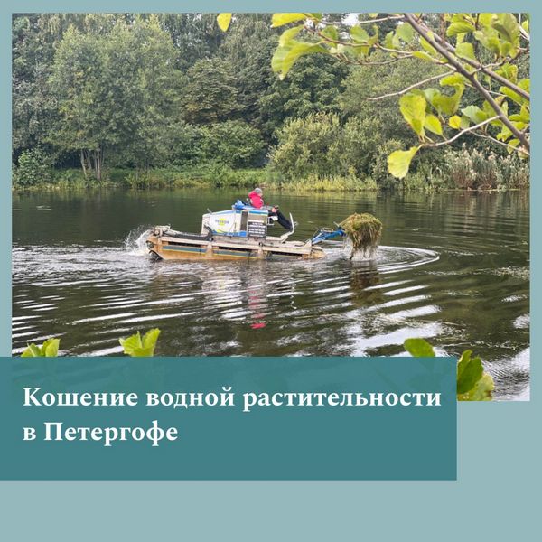 foto_obloz32323hka_.jpg