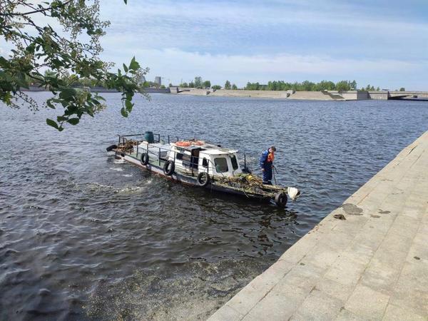 foto_oblozhka-20220605.jpg