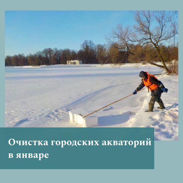 image-01-02-24-03-19.jpg