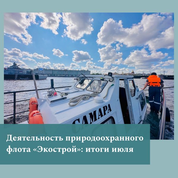 image-02-08-23-02-24.jpg