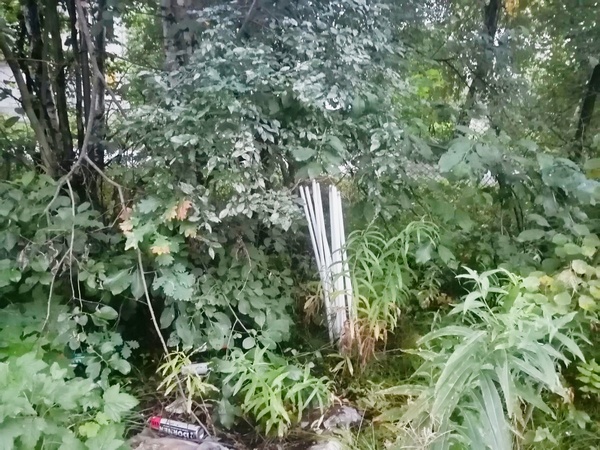 image-05-09-22-12-44-3.jpg