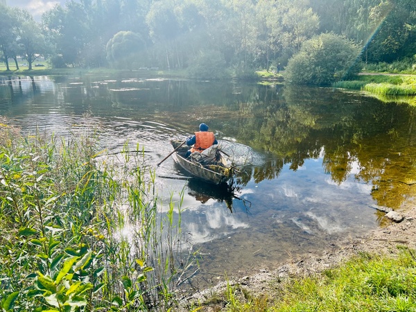 image-08-09-22-04-31-6.jpg