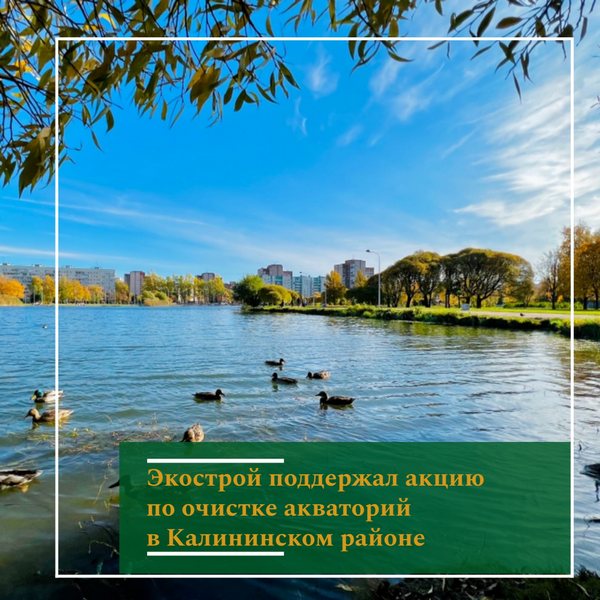 image-11-10-22-05-45.jpg