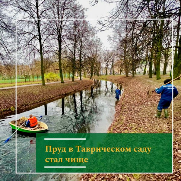 image-11-11-22-04-47.jpg