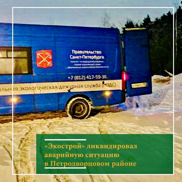 image-13-01-23-03-40-3.jpg
