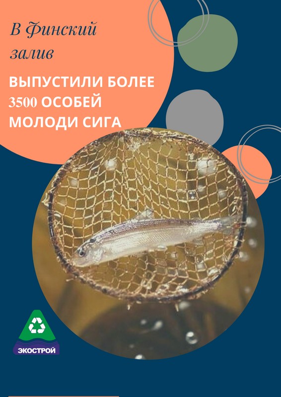 image-14-10-20-02-52.jpg