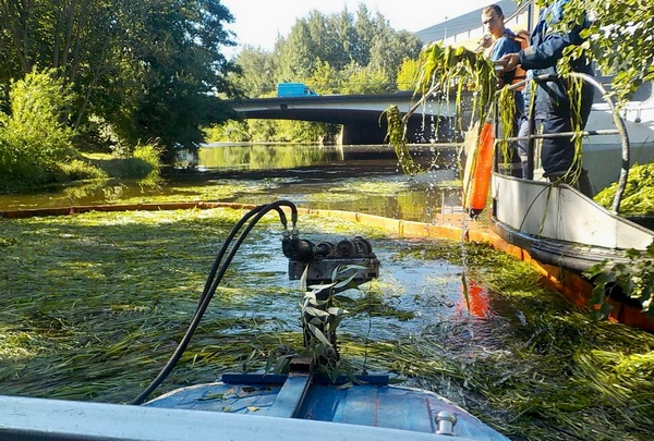 image-15-08-22-05-49-1.jpg