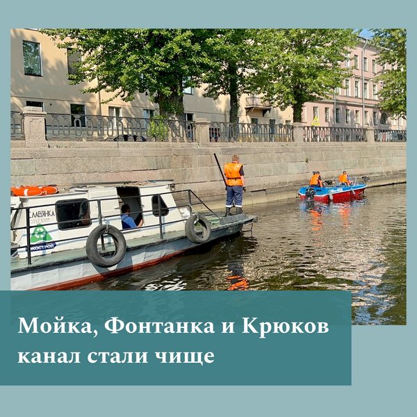 image-16-06-23-03-131111.jpg