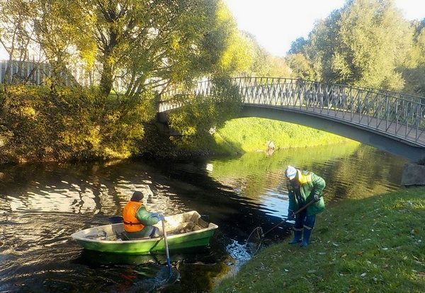 image-16-10-23-03-22-1.jpg