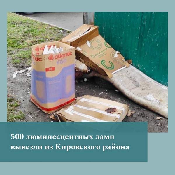 image-17-04-24-03-50-2.jpg