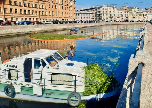 image-19-08-22-04-06-2.jpg