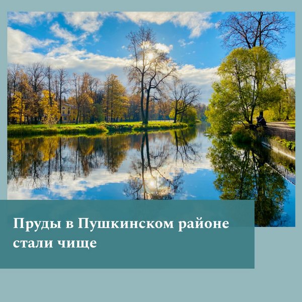 image-20-10-22-03-42.jpg