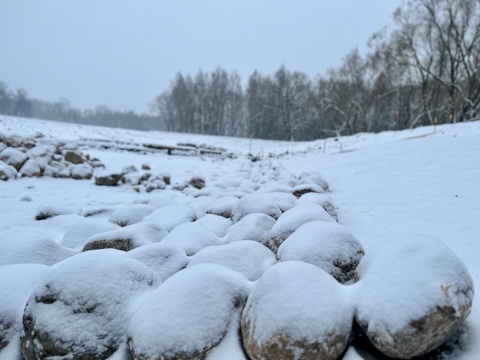 image-21-02-23-04-47-1-frgt.jpg