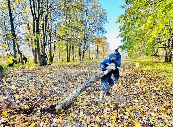 image-21-10-23-04-34-4.jpg
