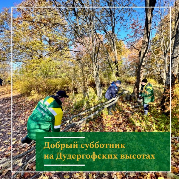 image-21-10-23-04-34.jpg