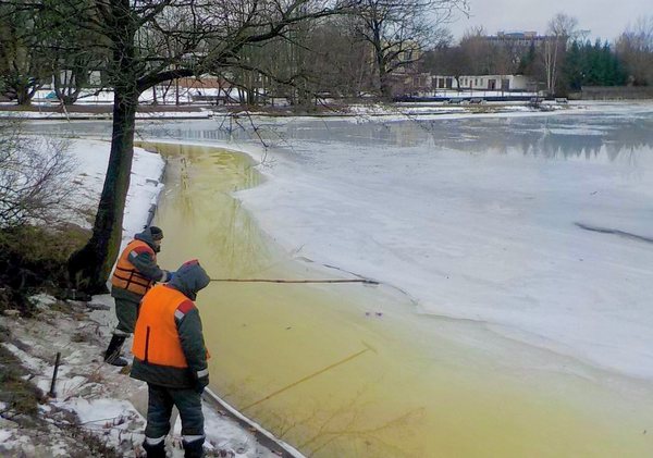 image-23-01-23-04-21-4.jpg