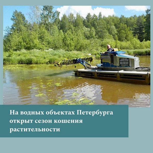 image-23-06-22-11-49-20220623.jpg