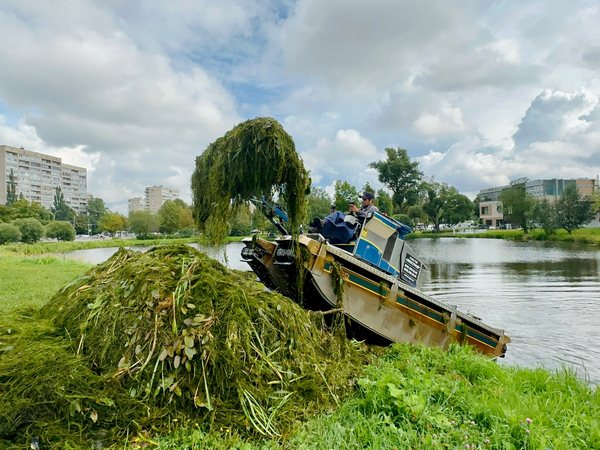 image-23-08-23-09-44-1.jpg