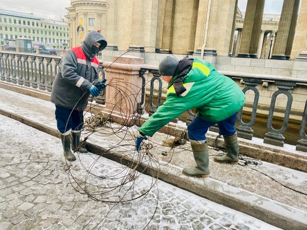 image-23-11-22-05-41-3.jpg