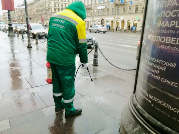 image-25-01-23-06-52-1.jpg