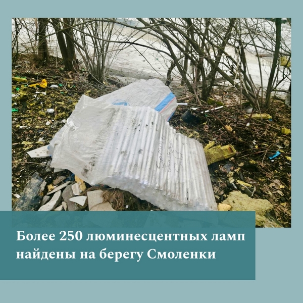 image-26-03-24-04-17.jpg