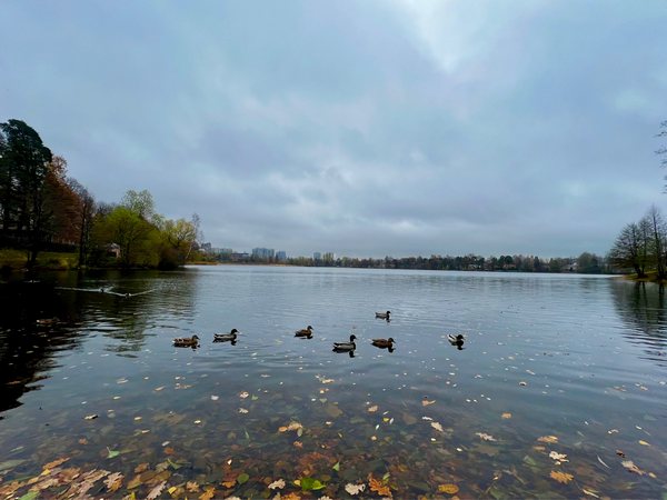 image-28-10-22-03-59-5.jpg