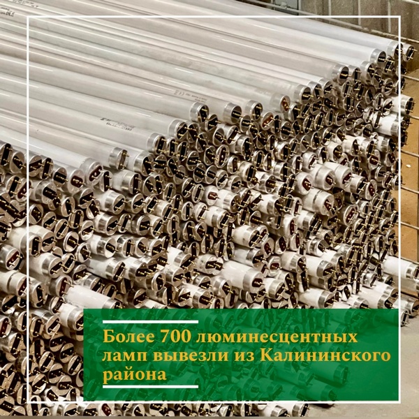 image-28-11-23-02-54-1.jpg
