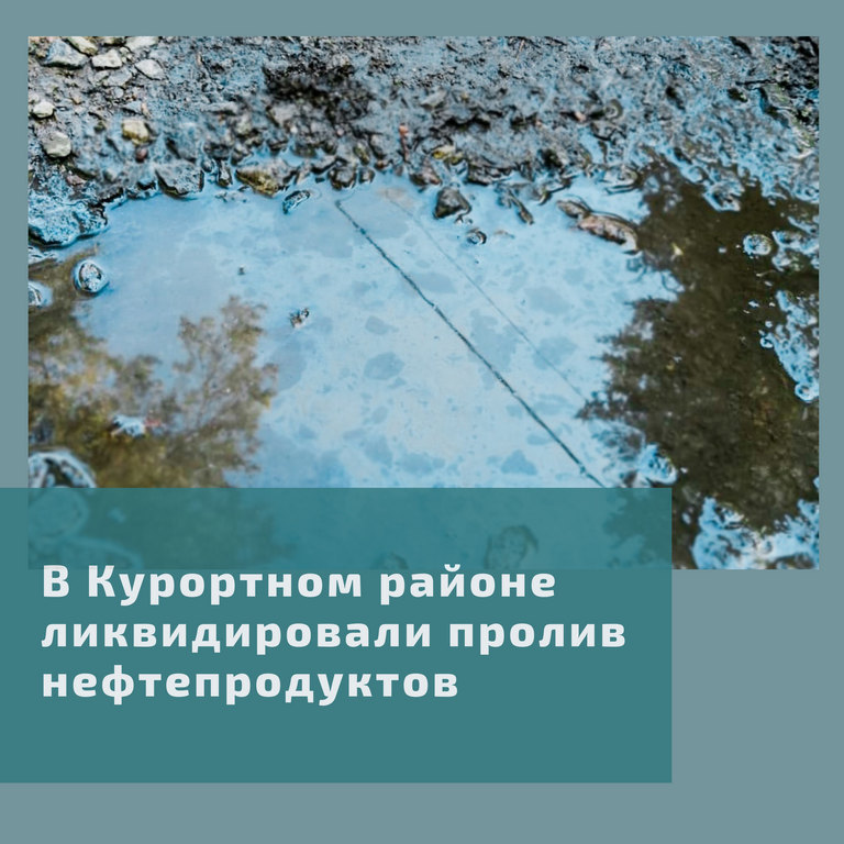 image-29-05-21-12-28.jpg