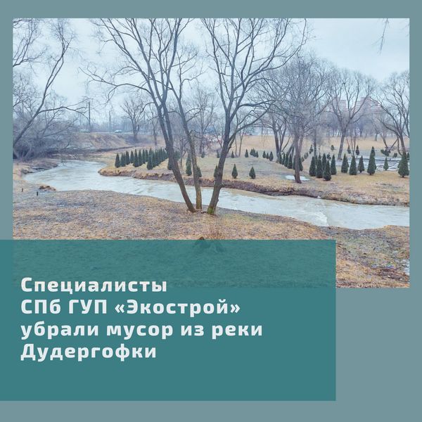 image-30-03-21-12-38-20210330.jpg