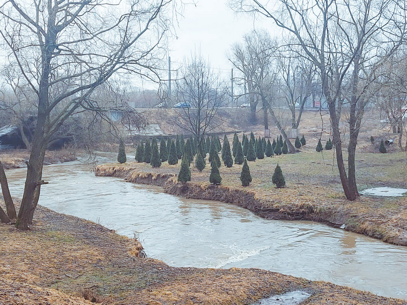 image-30-03-21-12-38-3-20210330.jpg