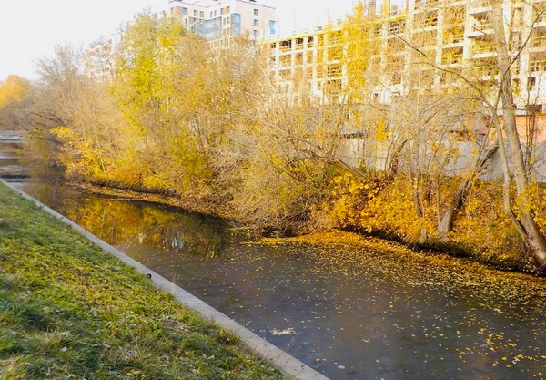 image-30-10-23-04-40-1.jpg