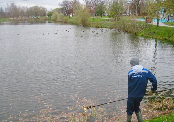 image-31-10-22-03-08-1.jpg