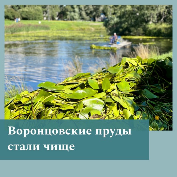 oblozhka-20220811.jpg