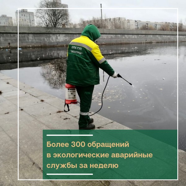 oblozhka_1-19332120211108.jpg