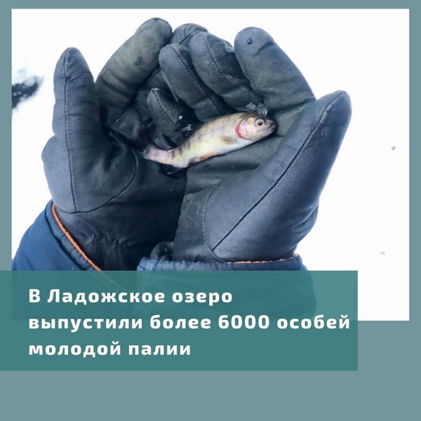 oblozhka_1-20211223.jpg