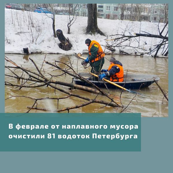 oblozhka_1-20220301.jpg